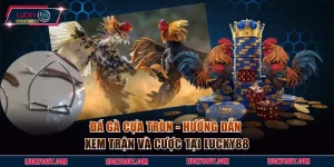 Đá gà cựa tròn